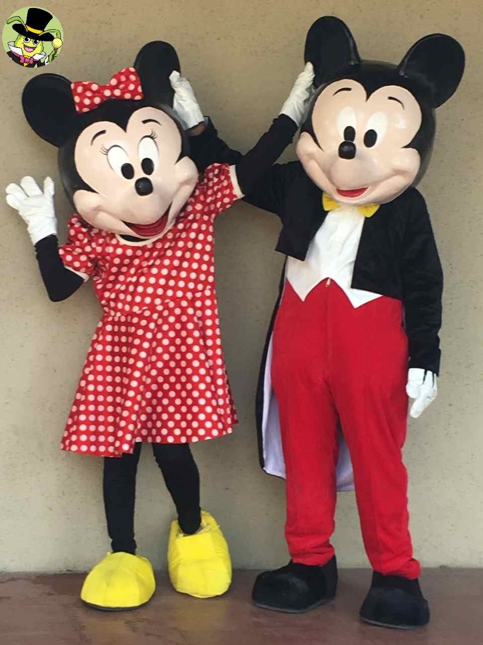  mickey and minnie mouse mascot